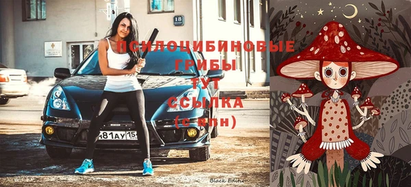гидропоника Баксан